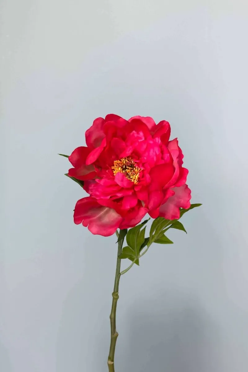 Pip Studio Künstliche Blumen|Pip Künstliche Blumen Berry Brightness