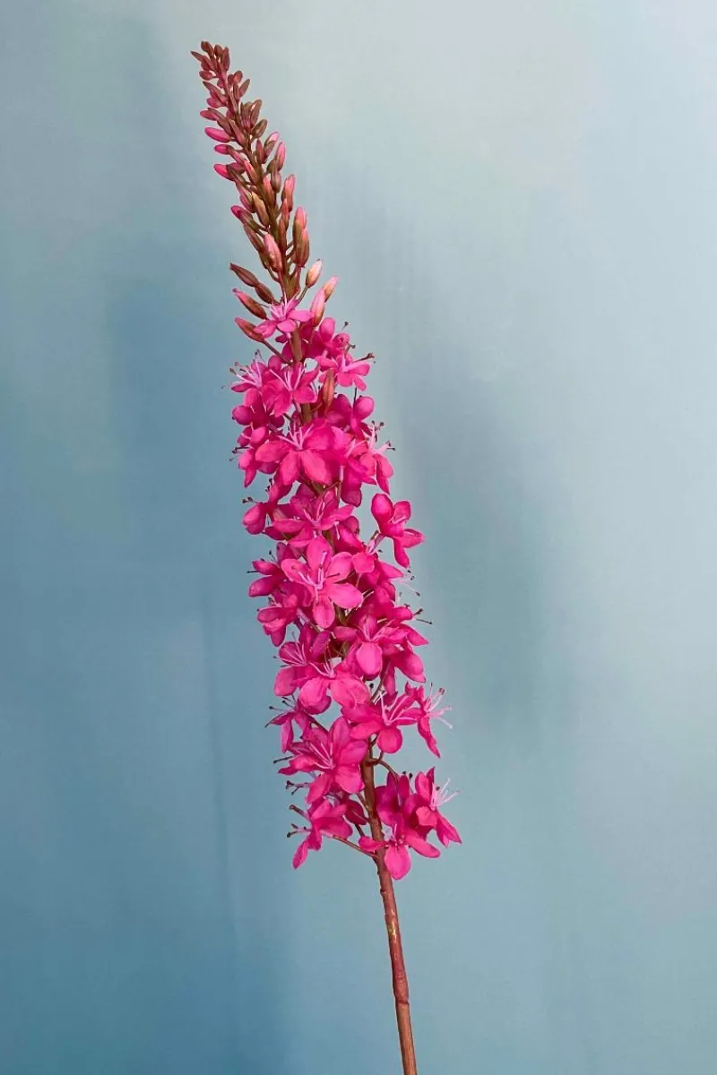Pip Studio Künstliche Blumen|Pip Künstliche Blumen Eternal Blossoms