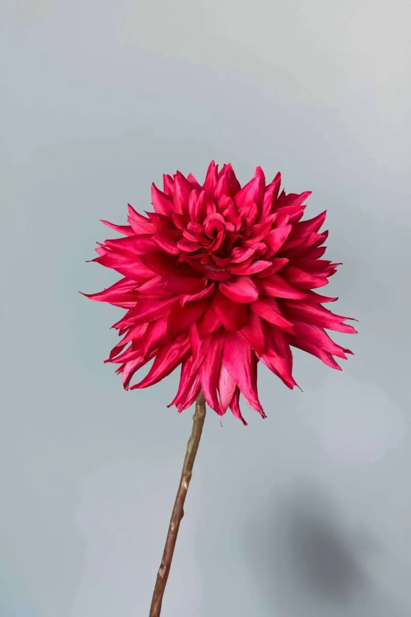 Pip Studio Weihnachten|Künstliche Blumen|Pip Künstliche Blumen Winter Embrace