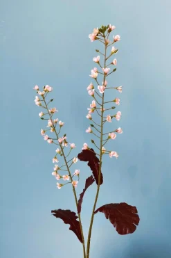 Pip Studio Weihnachten|Künstliche Blumen|Pip Künstliche Blumen Winter Primrose Small